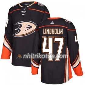 Anaheim Ducks Trikot Hampus Lindholm 47 Adidas 2017-2018 Schwarz Authentic - Herren